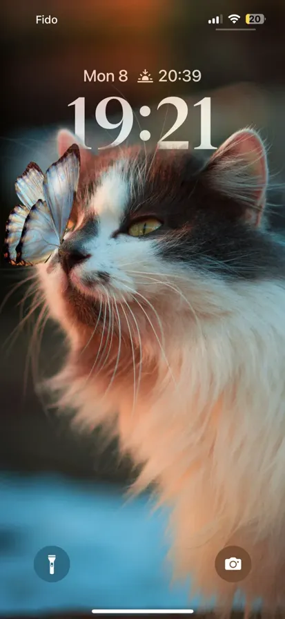 A white butterfly is peacefully resting on the nose of a cat - depth effect wallpaper