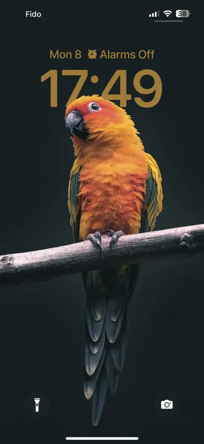 Colorful parrot perched on a branch flaunting vibrant orange, yellow, green, and blue feathers, amidst lush green foliage.