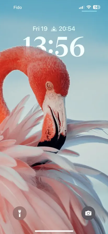 A close-up photograph of a pink flamingo. - depth effect wallpaper