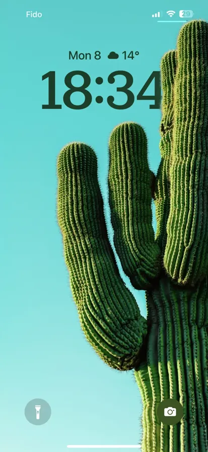A close-up photo of a green cactus with thorns and vibrant textures. - depth effect wallpaper