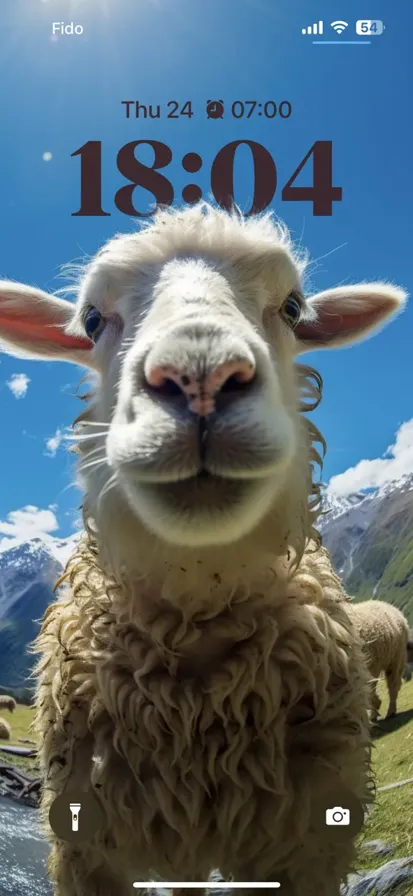 Cute sheep in the mountains with a blue sky background.