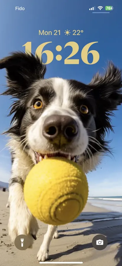 A border collie dog running on the beach, chasing a yellow ball.