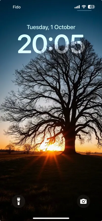 A silhouetted tree against a vibrant sunset sky.