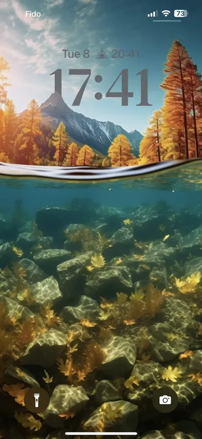 Crystal clear water with perfect underwater visibility