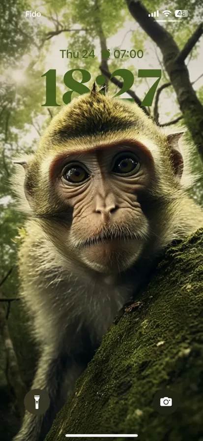 Curious monkey sitting on a lush green branch in a colorful forest, captivatingly peering at the camera.