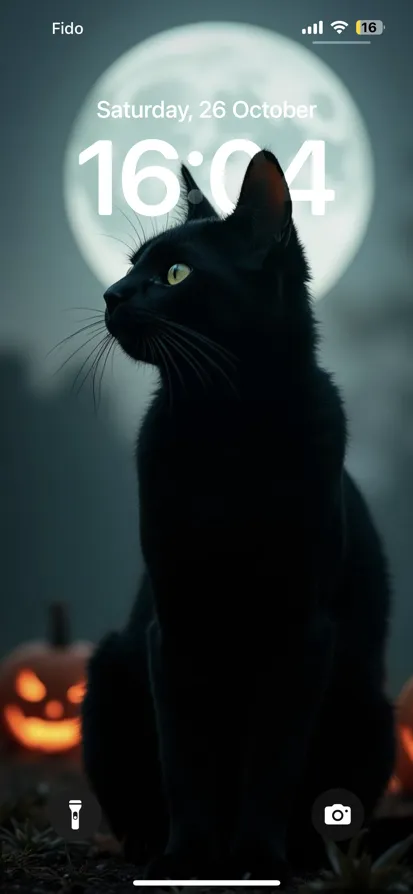 A black cat sits in front of a glowing full moon and carved pumpkins, creating a spooky Halloween vibe.