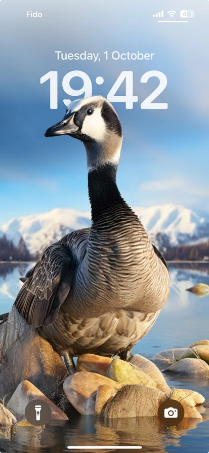 A goose perched on rocks with serene mountain backdrop. - depth effect wallpaper