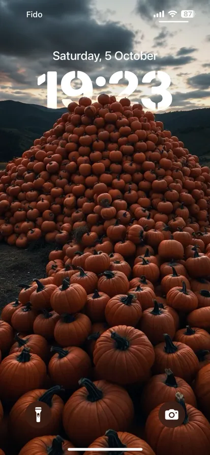 A pile of orange pumpkins against a dusky sky.