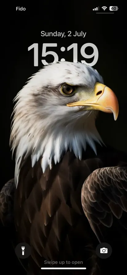 A small isolated majestic bald eagle on a wide color background - depth effect wallpaper