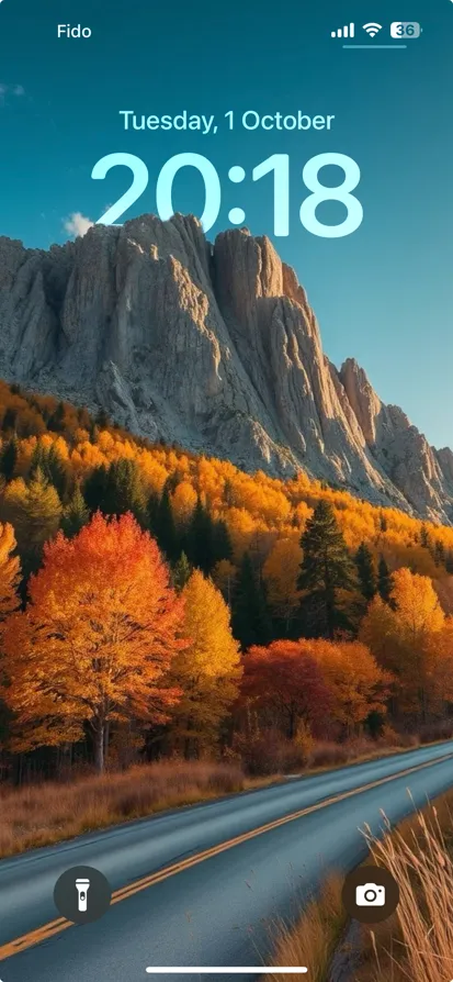 Scenic landscape of a winding road amid autumn foliage.