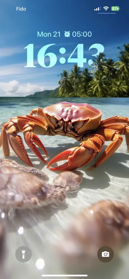 Image of crabs scattered around a sunny day with a background of clear blue water at the Maldivas.
