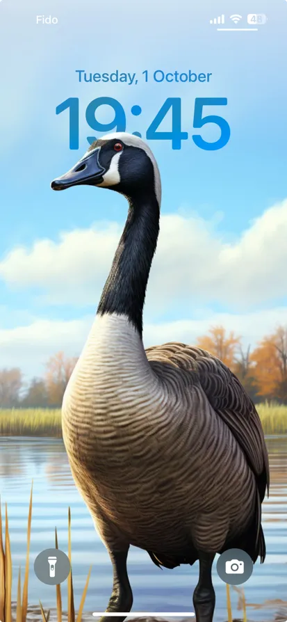 A Canada goose stands gracefully by calm waters, surrounded by autumn foliage. - depth effect wallpaper