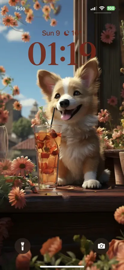 Adorable corgi, with brown coat & white markings, joyfully sips a drink, showcasing its delightful charm.