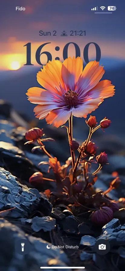 A unique flower surrounded by colorful lights on a rock.