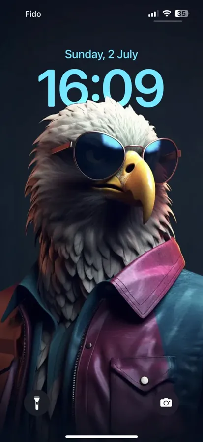 An adult bald eagle wearing sunglasses and a colorful jacket.