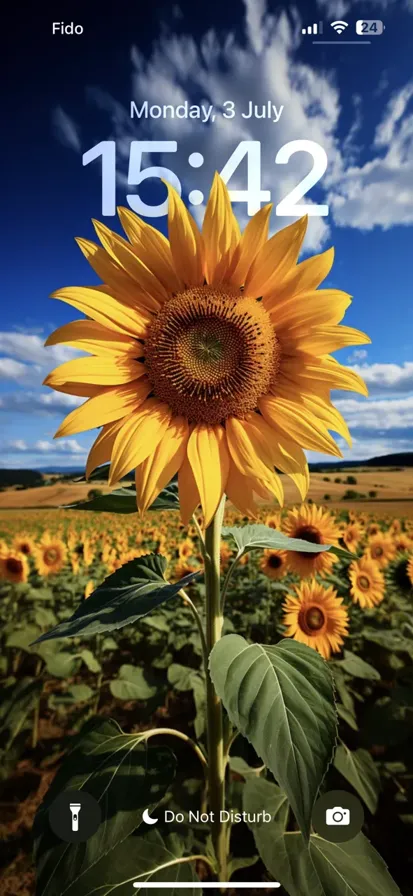 Sunflower standing tall against a clear blue sky. - depth effect wallpaper