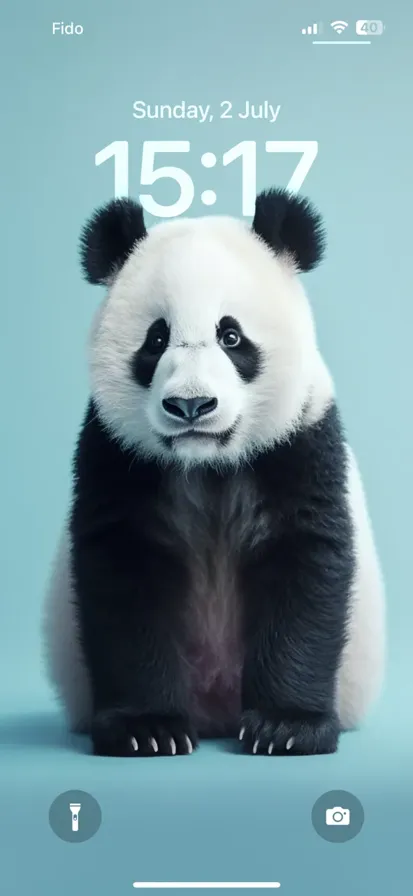 A small isolated panda on a wide color background