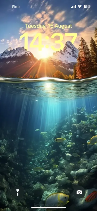 A crystal clear body of water with perfect underwater visibility - depth effect wallpaper